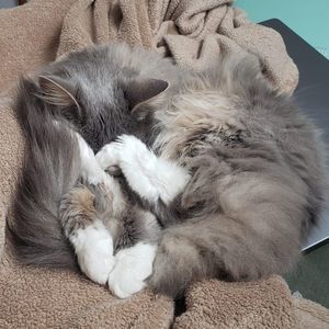 Meet your Posher, Fay